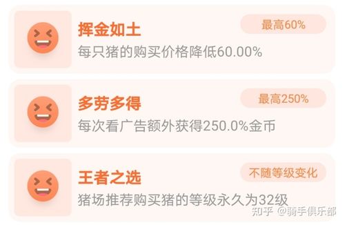 一起来养猪赚钱