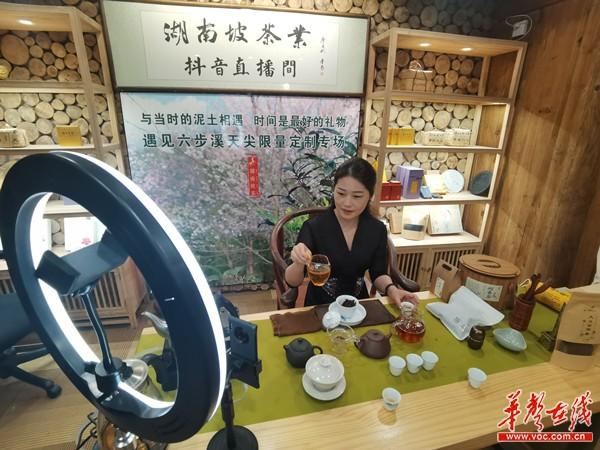 红茶绿茶茶叶直播