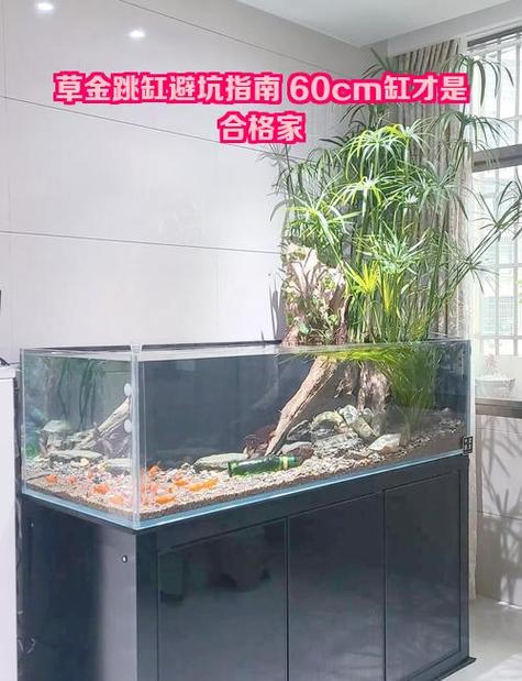 鱼跳缸如何处理