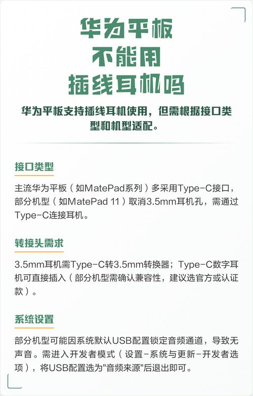 平板不能插耳机吗?
