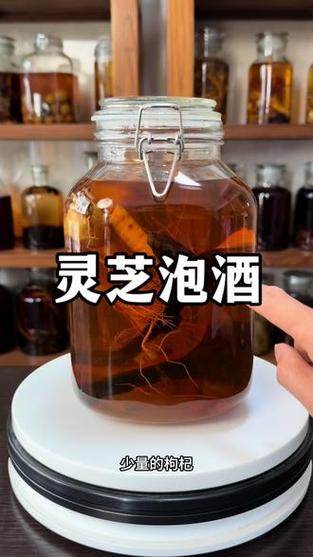 男性喝灵芝酒的好处图标