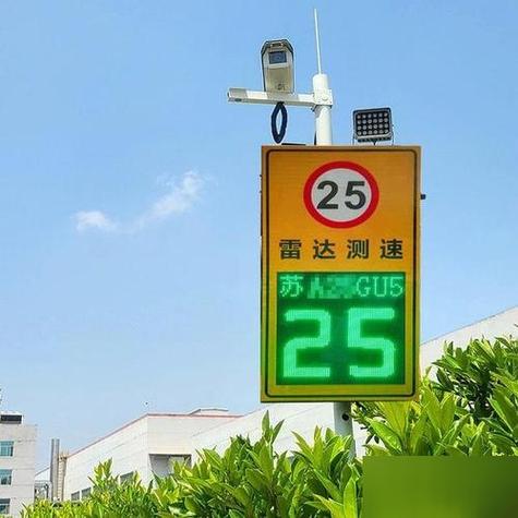 车速测速仪在线