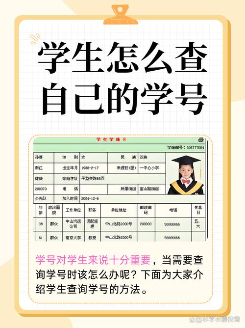 怎么查询自己的学号是多少图标