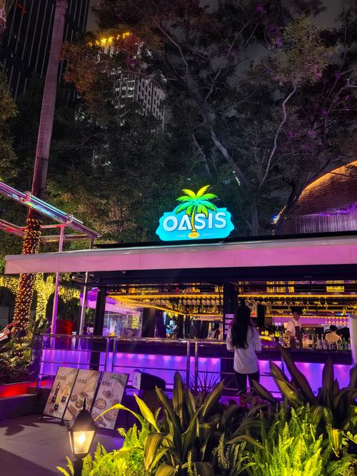 绿洲oasis手机版为什么进不去图标