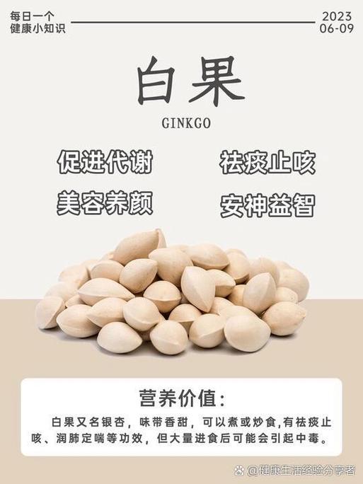 白果的作用和功效图标