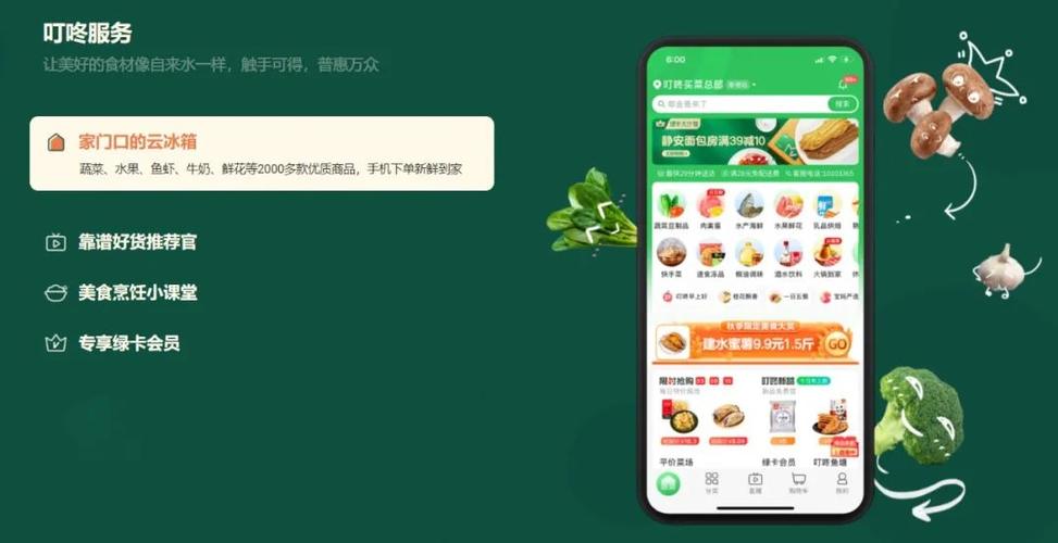 网上卖菜哪个平台最好