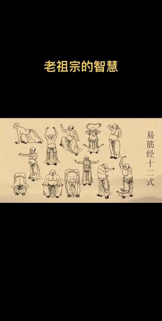 易筋经十二式标准版
