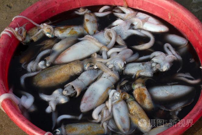 玳子海鲜