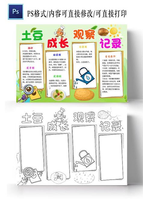 土豆漫文图标