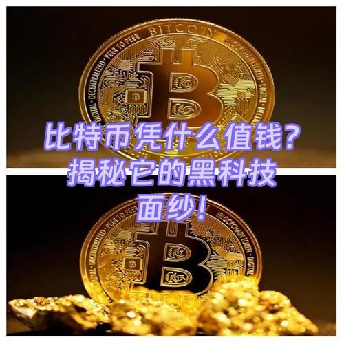 比德币是什么概念