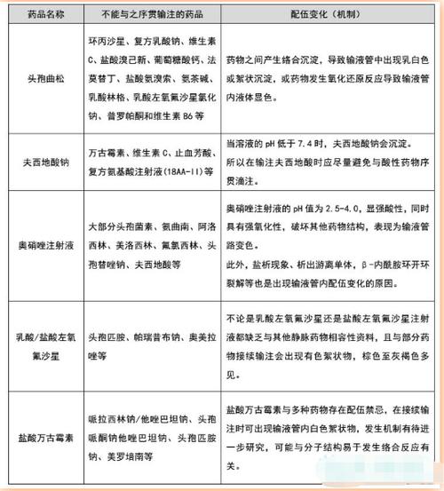 氨茶碱缓慢静注