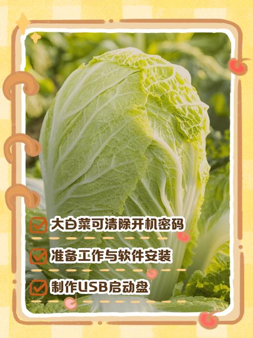 大白菜绕过win10开机密码图标