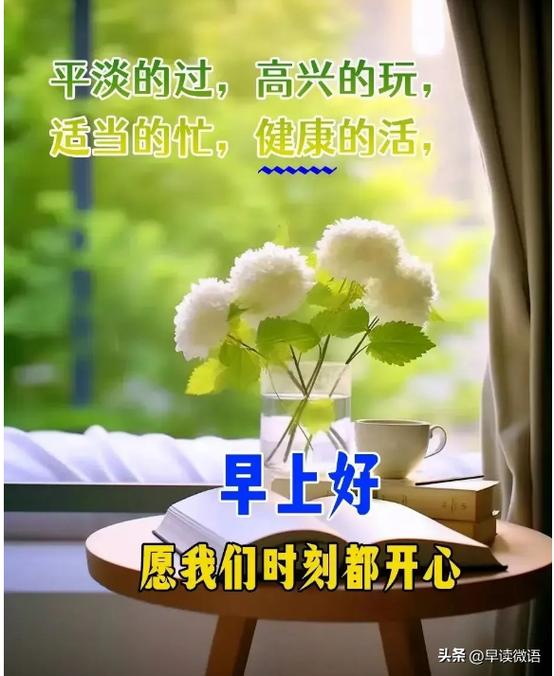 每天每日