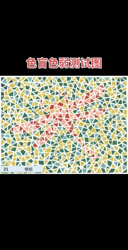 色盲检查图第六版答案