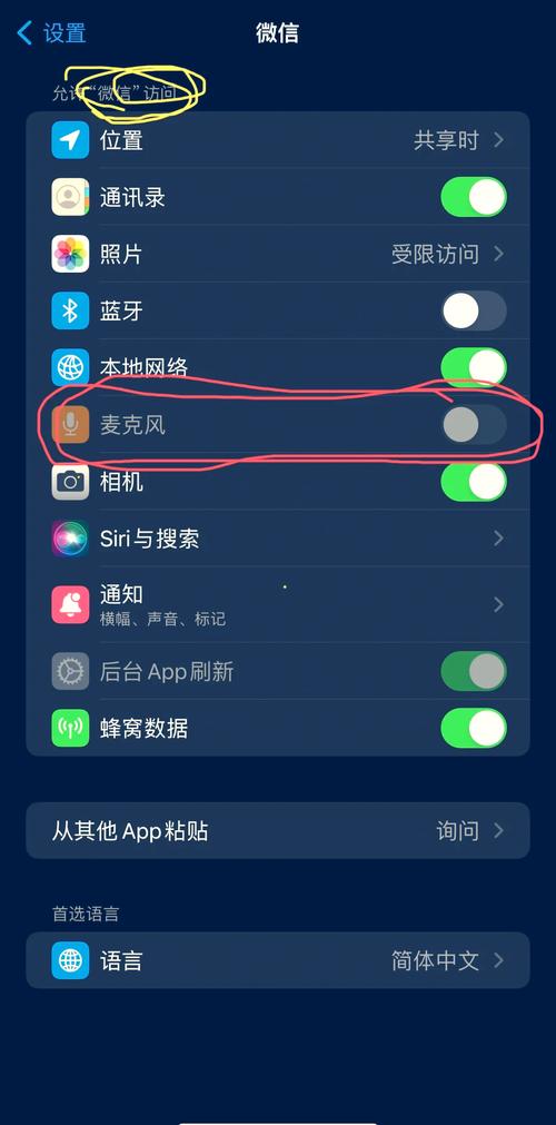 陌陌设置麦克风权限