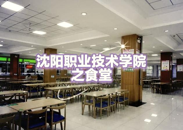 沈阳职业技术学院专业