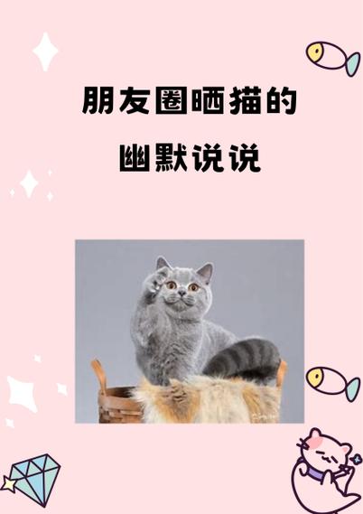 发朋友圈晒猫的句子