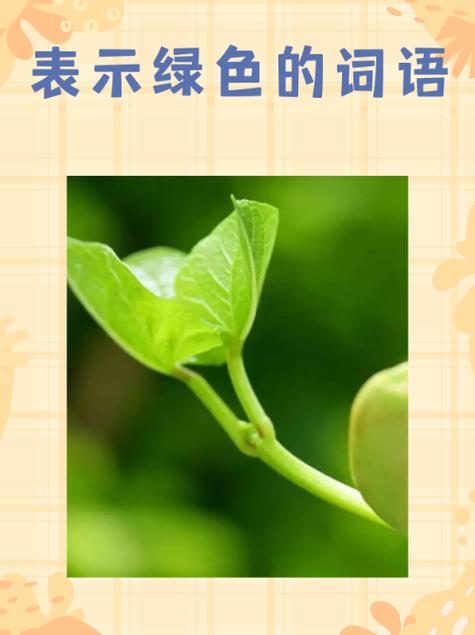 绿色字体代表什么意思