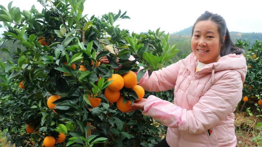 农村橙子的视频推荐