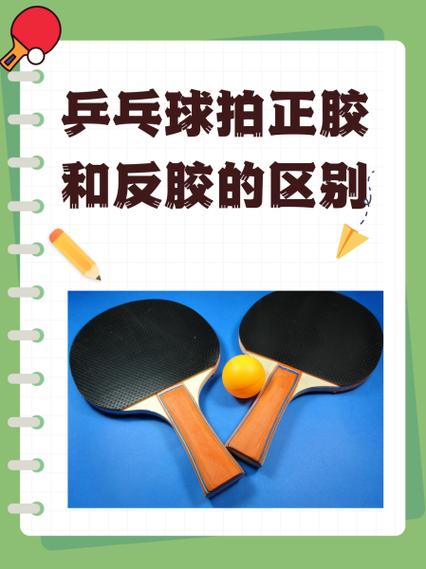 乒乓球拍的正胶反胶长胶的区别图标