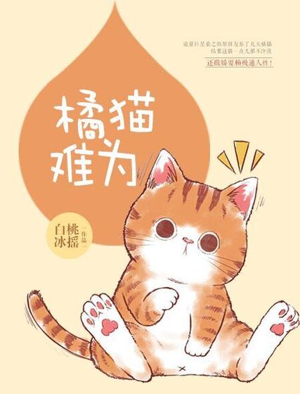 橘猫小说
