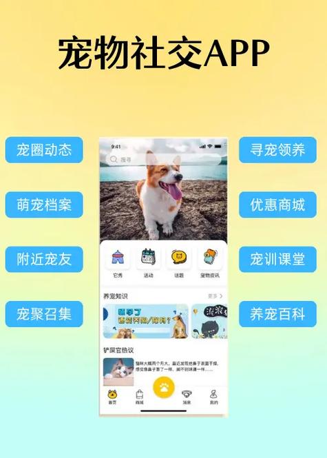 养宠物APP