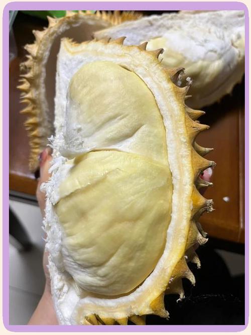 怎么让榴莲变软图标