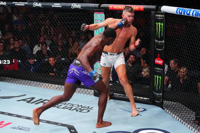 ufc2终极格斗安卓无限金币版