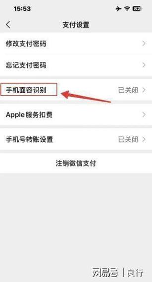 苹果替用面容可以支付吗
