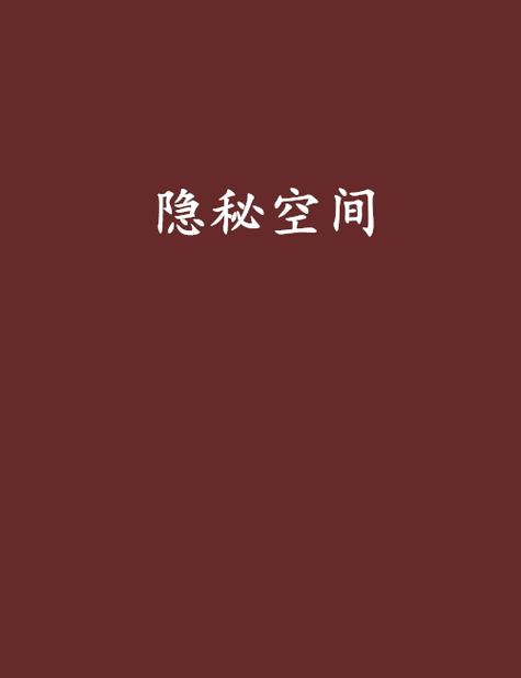 苹果手机可以设置私密空间吗