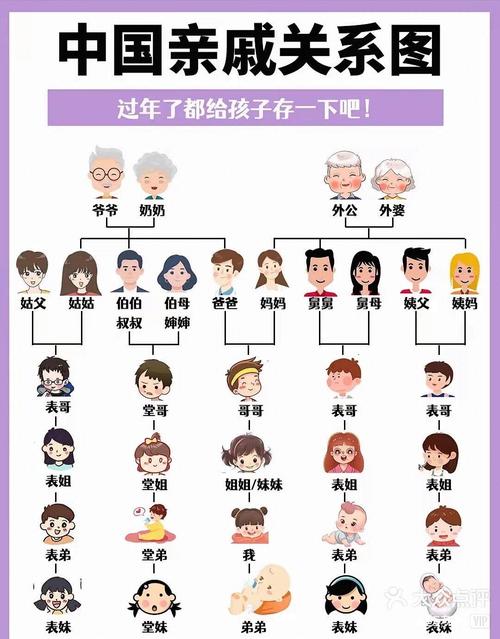 第三代tf家族
