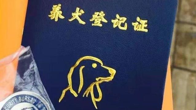 麦道网办理狗证电话图标