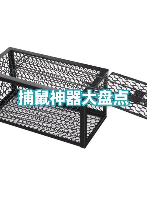 捕鼠神器排名第一图标