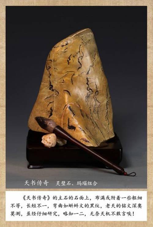 轻奢交友app相同的软件图标