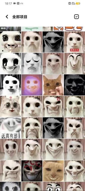猫走路走着走着就摔怎么回事图标