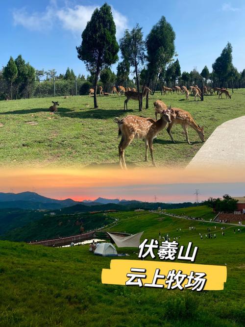 云端牧场游戏