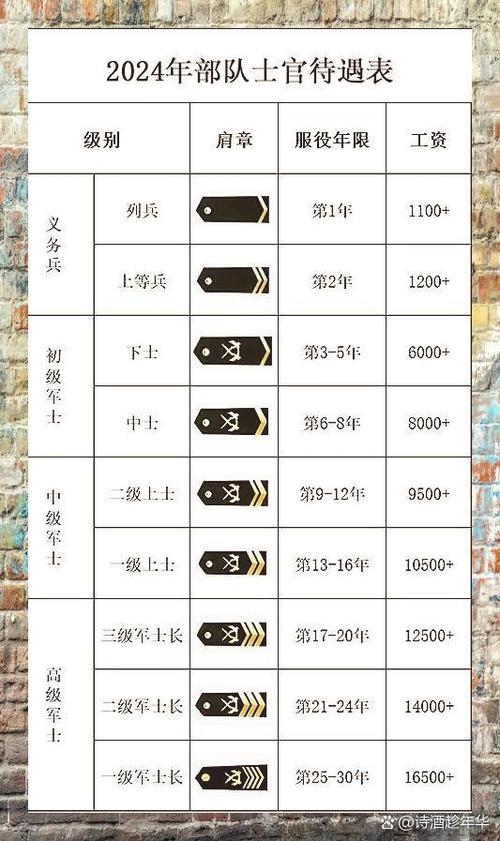 军士和士官的级别