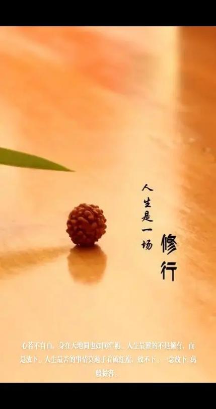 心放下的图片大全