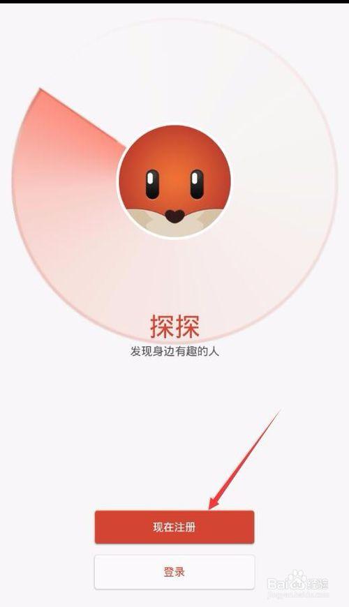 下载探探app最新版本