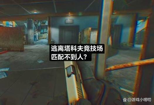 逃离塔科夫匹配不到人图标