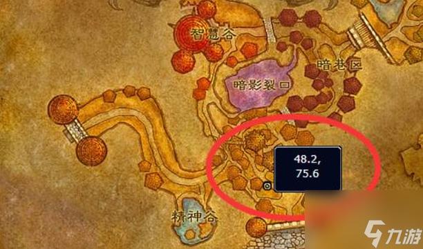 魔兽世界战袍在哪买