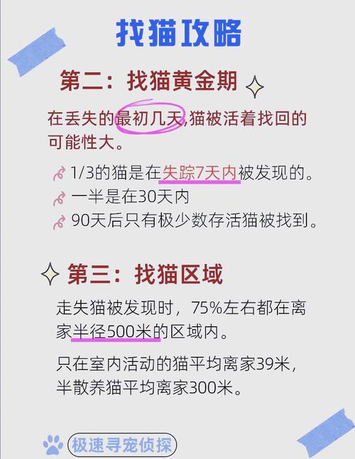 怎么找不到喵播了