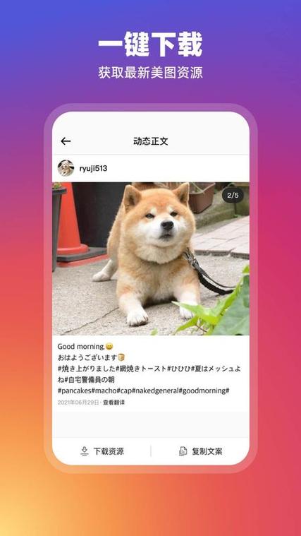 instagram安卓版下载免费图标