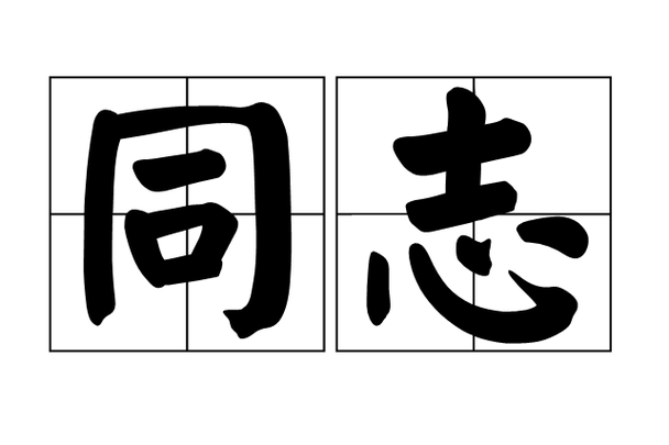 张杰同志个人简历