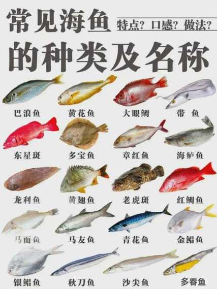 鱼的种类大全图片
