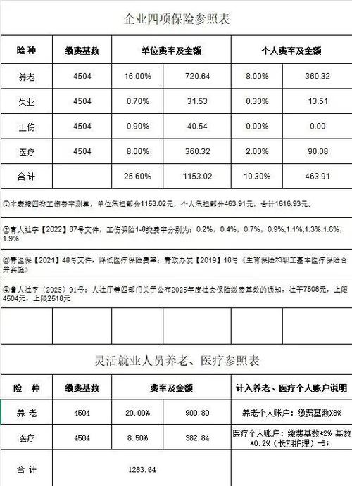 2025年社保缴费明细表图标