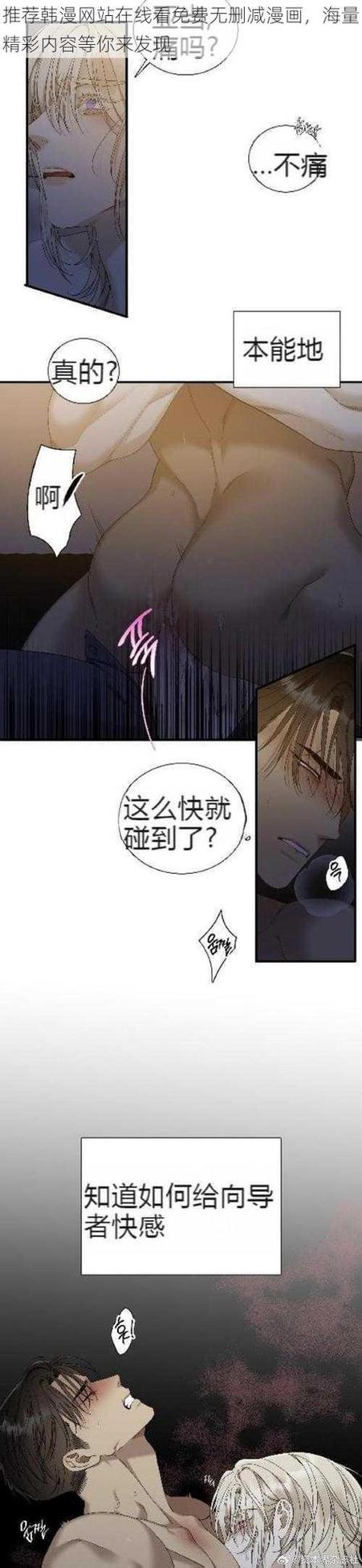 jm天堂韩漫