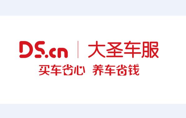 大圣科技股份有限公司