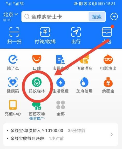屏幕蚂蚁森林步数怎么设置