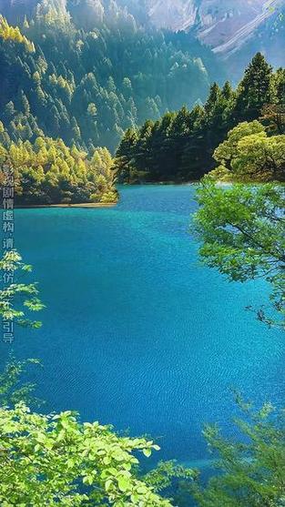 电影血战丛林